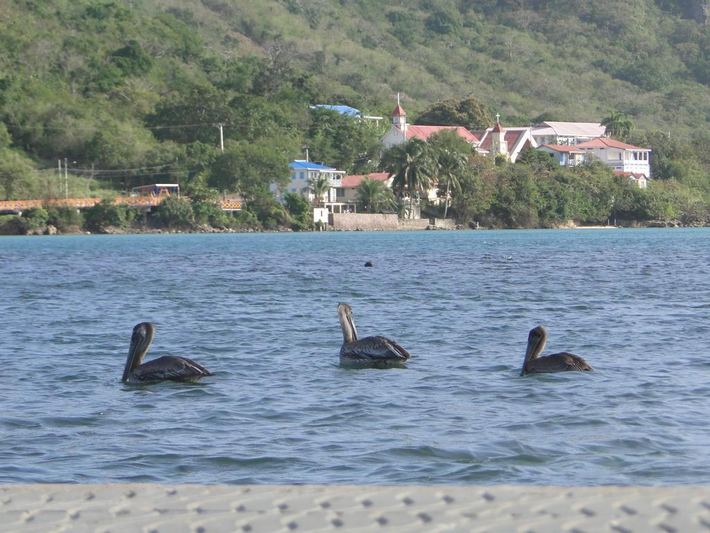 Posada Sunshine Paradise Providencia Island Zewnętrze zdjęcie