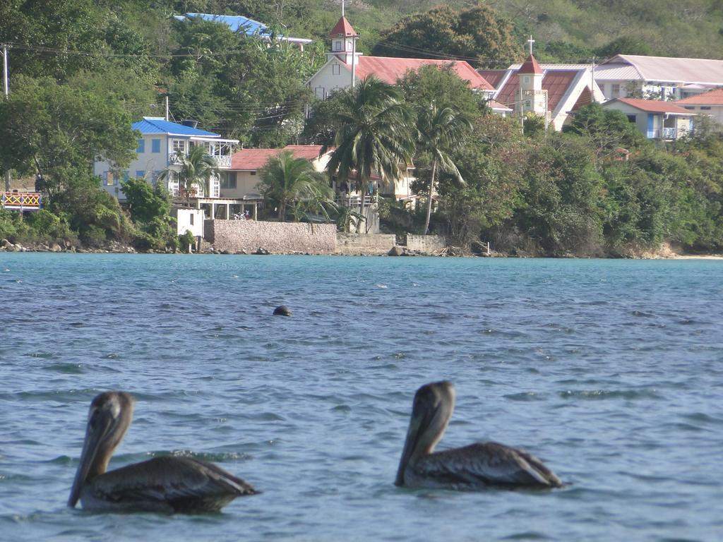 Posada Sunshine Paradise Providencia Island Zewnętrze zdjęcie