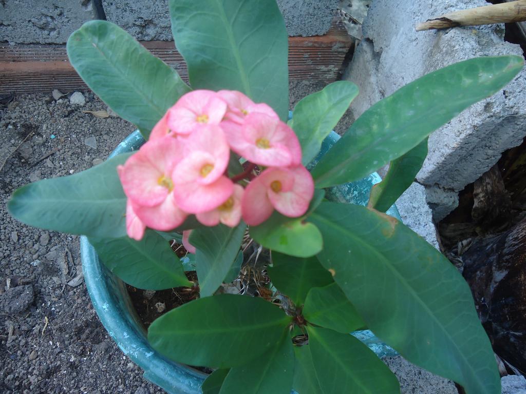 Posada Sunshine Paradise Providencia Island Zewnętrze zdjęcie