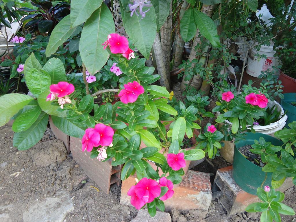 Posada Sunshine Paradise Providencia Island Zewnętrze zdjęcie