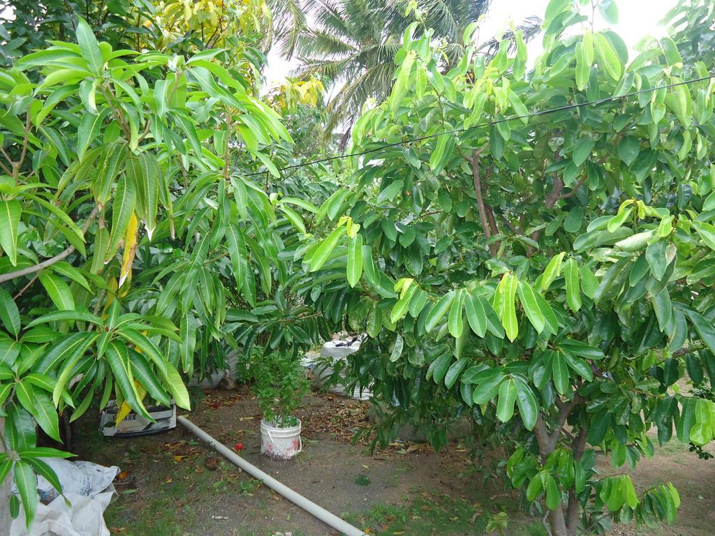 Posada Sunshine Paradise Providencia Island Zewnętrze zdjęcie