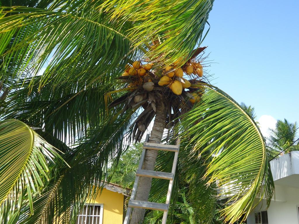 Posada Sunshine Paradise Providencia Island Zewnętrze zdjęcie