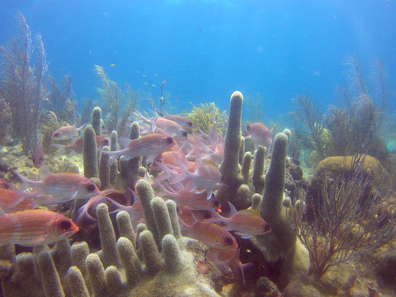 Posada Sunshine Paradise Providencia Island Zewnętrze zdjęcie